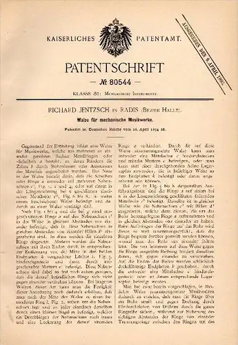 Original Patentschrift - Richard Jentzsch in Radis b. Kemberg , 1894 , Walze für Musikwerke , Musik , Bezirk Halle !!!