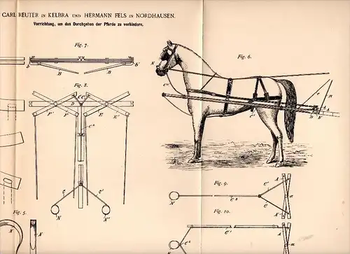 Original Patentschrift -  Carl Reuter in Kelbra und H. Fels in Nordhausen , 1891 , Apparat für Pferde , Pferd !!!