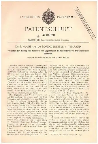 Original Patentschrift -  Dr. F. Nobbe und Dr. Lorenz Hiltner in Tharandt , 1895 , Impfung mit Reinculturen , Bakterien