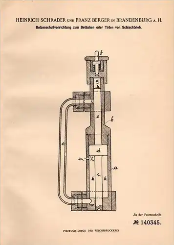 Original Patentschrift - H. Schrader und F. Berger in Brandenburg a.H., 1902 , Bolzenschußgerät für Schlachtvieh , Vieh