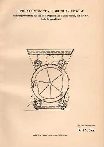 Original Patentschrift - H. Haesloop in Rodleben b. Roßlau , 1902 , Apparat für Leder - Färbemaschine , Dessau !!!