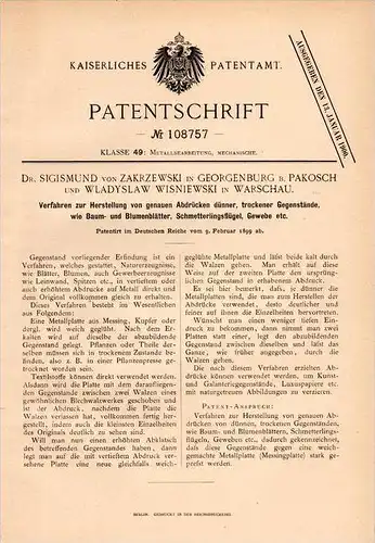 Original Patentschrift - Dr. S. von Zakrzewski in Pakosch / Pako&#347;&#263; , 1899 , Abdrücke von Baum , Blumen , Schme