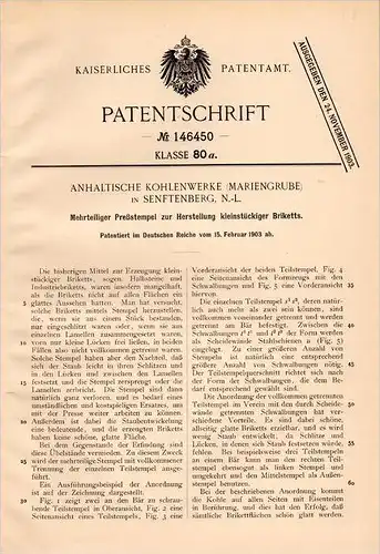 Original Patentschrift - Anhalt. Kohlenwerke in Senftenberg , 1903 , Brikett - Preßstempel , Kohle , Briketts , Bergbau
