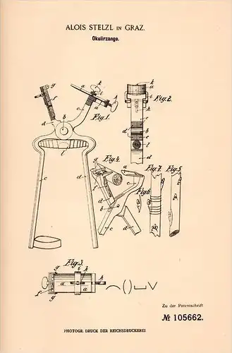 Original Patentschrift - Alois Stelzl in Graz , 1898 , Okulierzange , Veredelung von Wein , Obst , Weinbau !!!