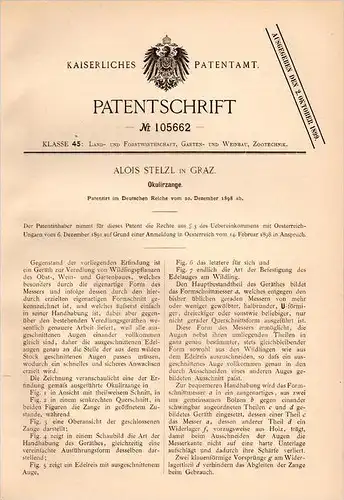 Original Patentschrift - Alois Stelzl in Graz , 1898 , Okulierzange , Veredelung von Wein , Obst , Weinbau !!!