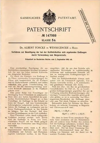 Original Patentschrift - Dr. A. Forcke in Wernigerode a. Harz , 1902 , Kali - Fabrikation , Beseitigung von Endlaugen