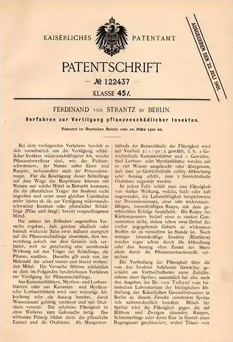 Original Patentschrift - Ferdinand von Strantz in Berlin ,1900, Schutz vor Prozessions Raupe , Insekten , Pflanzenschutz
