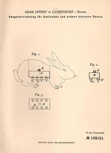 Original Patentschrift - A. Lippert in Cunersdorf i. Erzgeb., 1899 , Säugeapparat für Kaninchen , Kirchberg , Annaberg !