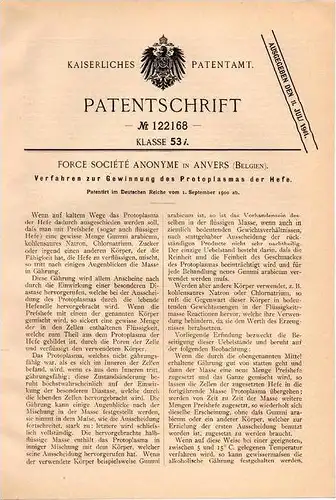 Original Patentschrift - Force Société Anonyme in Anvers / Antwerpen ,1900 Gewinnung von Protoplasma für Hefe , Brauerei