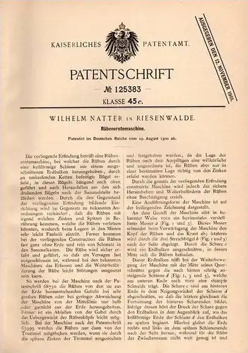 Original Patentschrift - W. Natter in Riesenwalde , 1900 ,  Erntemaschine für Rüben , Landwirtschaft , Agrar , Stankowo