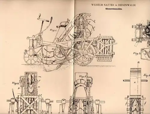 Original Patentschrift - W. Natter in Riesenwalde , 1900 ,  Erntemaschine für Rüben , Landwirtschaft , Agrar , Stankowo