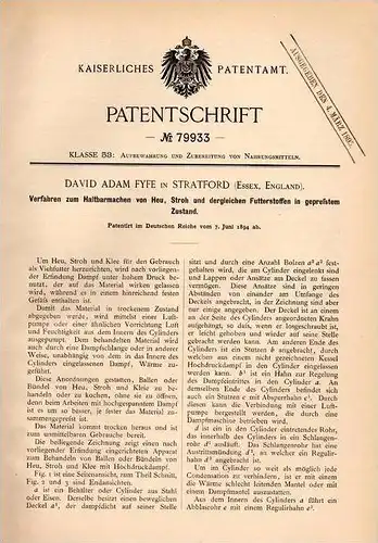 Original Patentschrift - D. Fyfe in Stratford , Essex , 1894 , steam engine for hay and straw , agriculture !!!