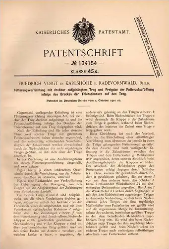 Original Patentschrift -F. Voigt in Karlshöhe b. Radevormwald ,1901, Futterapparat für Vieh , Landwirtschaft , Viehzucht