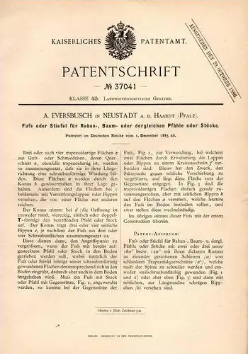 Original Patentschrift - A. Eversbusch in Neustadt a.d. Haardt , 1885 , Fuß für Rebenstock , Rebe , Wein , Weinbau !!!