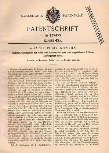 Original Patentschrift - A. Kaczorowski in Wreschen / Wrzesnia ,1901, Kartoffel - Erntemaschine , Landwirtschaft , Agrar