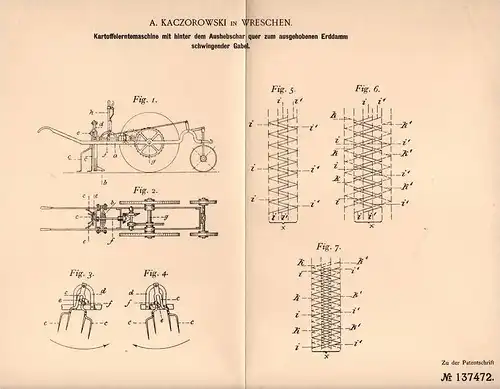 Original Patentschrift - A. Kaczorowski in Wreschen / Wrzesnia ,1901, Kartoffel - Erntemaschine , Landwirtschaft , Agrar