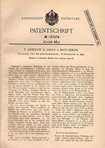 Original Patentschrift - P. Liebenow & Jarius in Britz - Berlin , 1902 , Fenster für Gewächshaus , Frühbeet , Gärtnerei