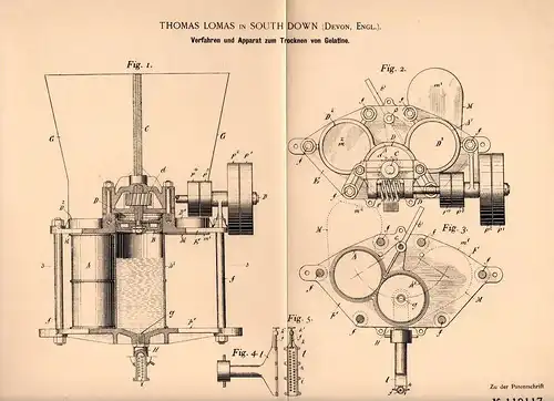 Original Patentschrift - Th. Lomas in South Down , Devon , 1899 , Apparat zum Trocknen von Gelantine , southdown !!!