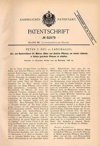 Original Patentschrift - Peter Reu in Langballig , Schleswig-Holstein , 1896 , Säe- und Hackverfahren für Rüben !!!