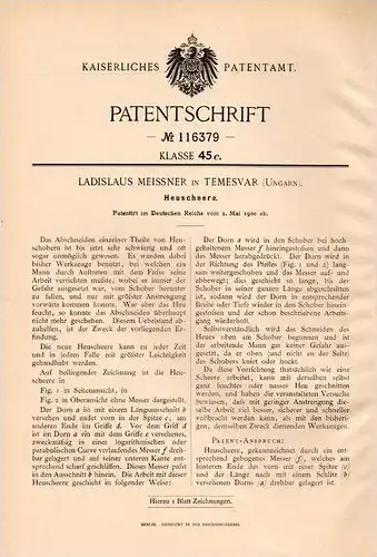 Original Patentschrift - L. Meissner in Temesvar , Ungarn , 1900 , Heuscheere , Heu , Landwirtschaft !!!