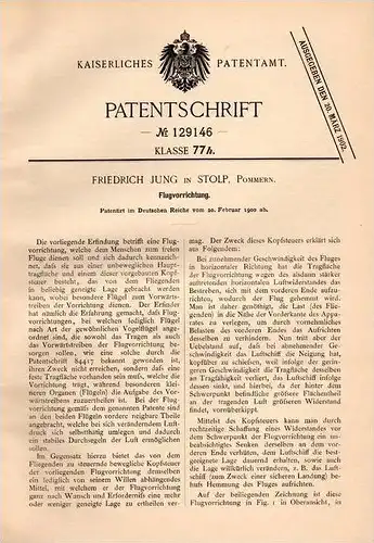 Original Patentschrift - F. Jung in Stolp i. Pommern , 1901 , Flugapparat , Fliegerei , Flugzeug !!!