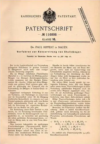 Original Patentschrift - Dr. Paul Rippert in Nauen , 1899 , Konservierung von Stalldünger , Dünger , Stall !!!
