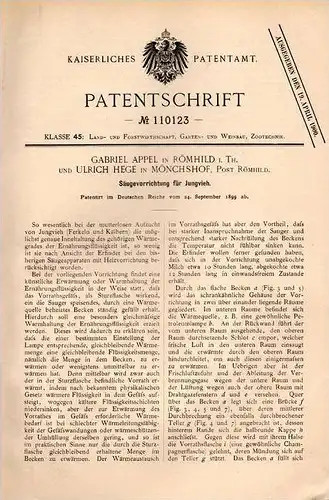 Original Patentschrift -G. Appel und U. Hege in Römhild und Mönchshof i. Th.,1899, Säugeapparat für Jungvieh , Tierzucht