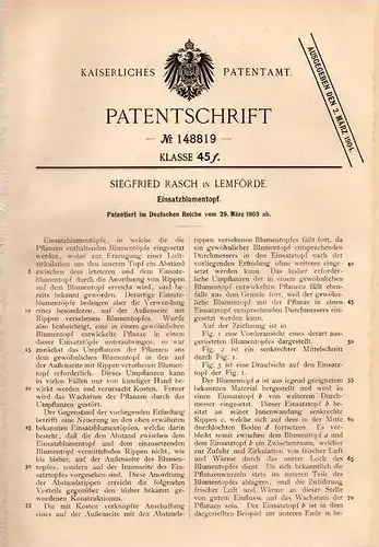Original Patentschrift - S. Rasch in Lemförde , 1903 , Einsatz - Blumentopf , Blumen , Gärtnerei !!!