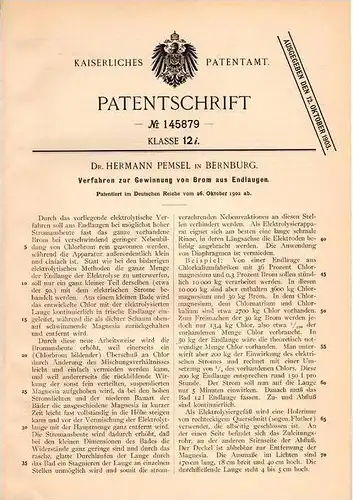Original Patentschrift - Dr. Hermann Pemsel in Bernburg , 1902 , Gewinnung von Brom aus Endlaugen, Chemie !!!