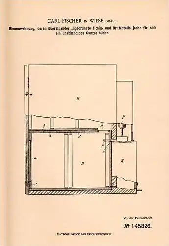 Original Patentschrift - C. Fischer in Gräflich Wiese / &#321;&#261;ka Prudnicka , 1901 , Bienenwohnung , Inkerei , Imke