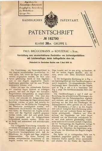 Original Patentschrift - P. Brüggemann in Kotzenau i. Schl. , 1906 , Feststeller für Gattersägeblätter , Sägewerk !!!