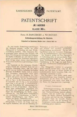 Original Patentschrift - Fa. H. Bargeboer in Wunstorf , 1903, Apparat zur Entbindung von Vieh , Kalb , Geburt , Tierarzt