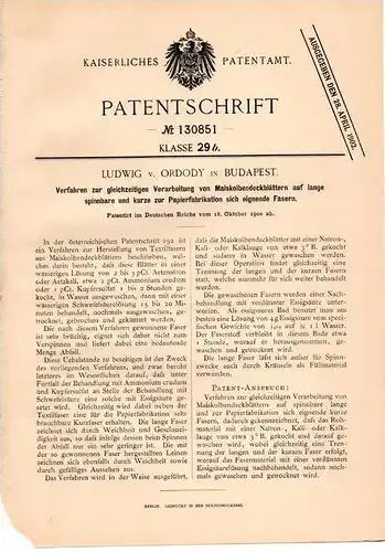 Original Patentschrift - Ludwig von Ordody in Budapest , 1900 , Mais - Kolbenblätter für Papierfabrikation , Papier !!!