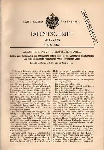 Original Patentschrift - A. Riek in Steinfelder Wohld b. Barnitz und Oldesloe ,1900 , Geräth für Stalldünger , Landwirt