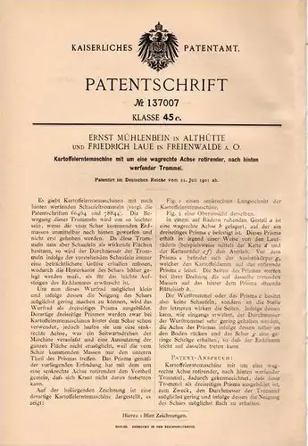 Original Patentschrift - F. Laue in Freienwalde a.O. und Althütte , 1901 , Kartoffel - Erntemaschine , Landwirtschaft !!