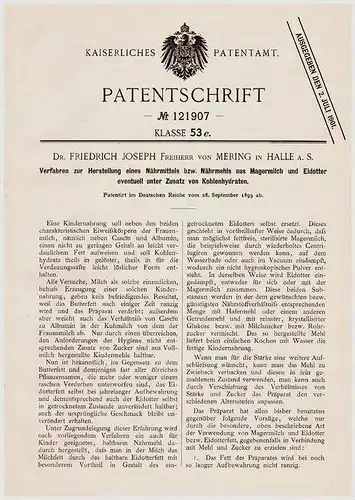 Original Patentschrift - Dr. Friedrich J. Freiherr von Mering in Halle a.S.,1899, Nährmittel aus Milch und Eidotter !!!