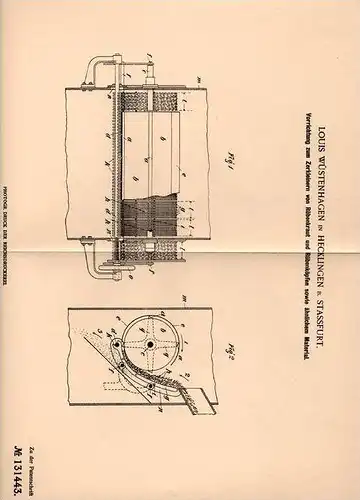 Original Patentschrift - L. Wüstenhagen in Hecklingen b. Stassfurt ,1900, Apparat zur Rüben - Zerkleinerung , Zuckerrübe