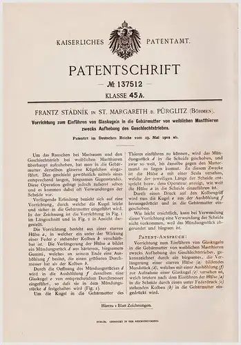 Original Patentschrift - F. Stádnik in St. Margareth b. Pürglitz , 1902, Glaskugel - Einführer für Gebärmutter b. Tieren