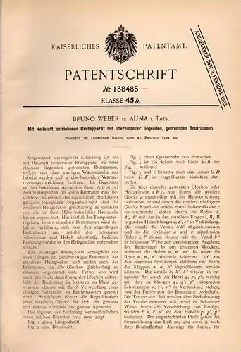 Original Patentschrift - B. Weber in Auma i. Thür., 1901 , Brutapparat mit Heißluft , Legebatterie , Brut !!!