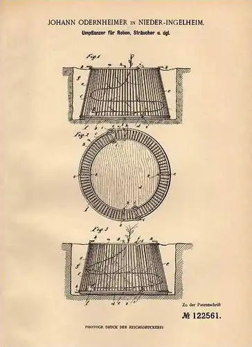 Original Patentschrift - J. Odernheimer in Nieder - Ingelheim , 1900 , Umpflanzer für Reben und Sträucher , Gartenbau !!