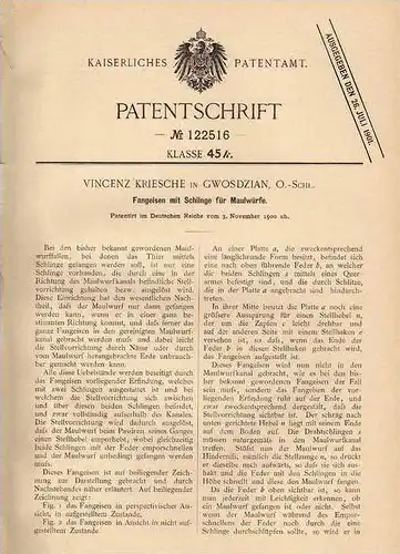 Original Patentschrift - V. Kriesche in Gwosdzian , O.-Schl., 1900 , Fangeisen für Maulwürfe , Maulwurf , Jagd !!!