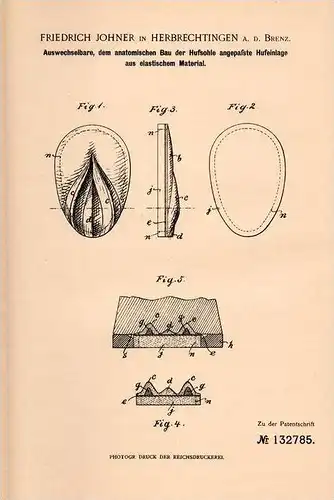 Original Patentschrift - F. Johner in Herbrechtingen a.d. Brenz , 1901 , Hufeinlage für Pferde , Anatomie , Hufeisen !!!