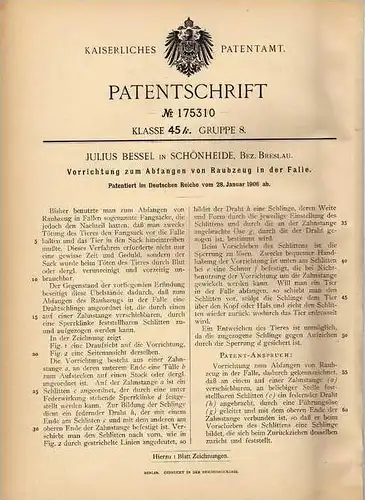 Original Patentschrift - J. Bessel in Schönheide , Bez. Breslau , 1906 , Fänger für Raubtiere , Jagd , Läger , Wild !!!