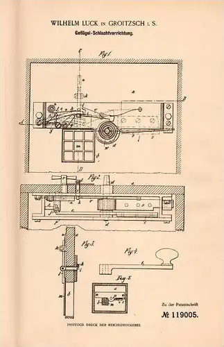 Original Patentschrift - W. Luck in Groitzsch i.S., 1900 , Geflügel - Schlachtapparat , Schlachterei , Schlachthof !!!