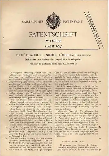 Original Patentschrift - P- Hüthwohl in Nieder Flörsheim , 1903 , Längsdrähte in Wintergerten , Reben , Wein !!!