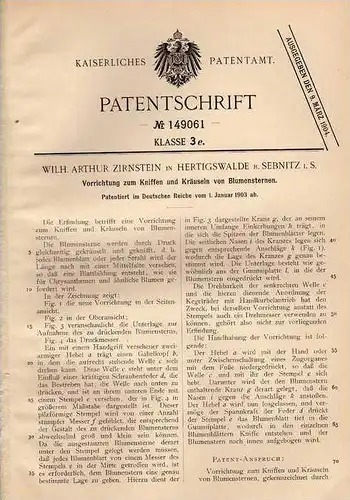 Original Patentschrift - W. Zirnstein in Hertigswalde b. Sebnitz i.S. , 1903 , Apparat für Blumensterne , Stempel !!!