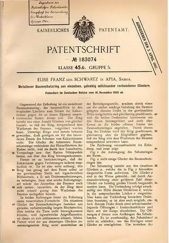 Original Patentschrift - E. Franz in Apia , Samoa , 1905 , Baumschutzring für Kakaobäume , Baumschule , Baum , Kakao !!!
