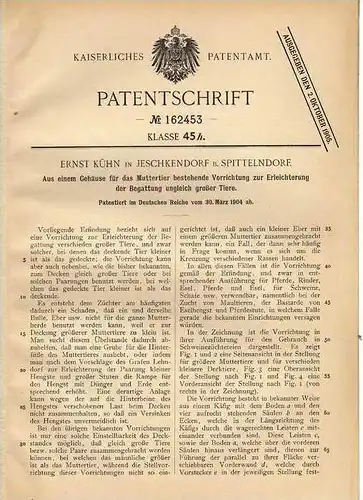 Original Patentschrift - E. Kühn in Jeschkendorf b. Spittelndorf , 1904 , Apparat zur Begattung ungleich großer Tiere !!