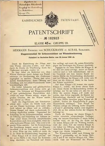 Original Patentschrift - H. Freiherr von Schuckmann in Auras , Schlesien , 1906 , Einlass für Schleuse , Deich , Wiese