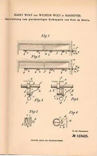 Original Patentschrift - H. Wolf in Hannover , 1900 , Enkuppeln von Vieh im Stall , Viehzucht !!!